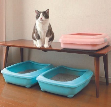 寒い季節の 猫トイレ の正しい置き方