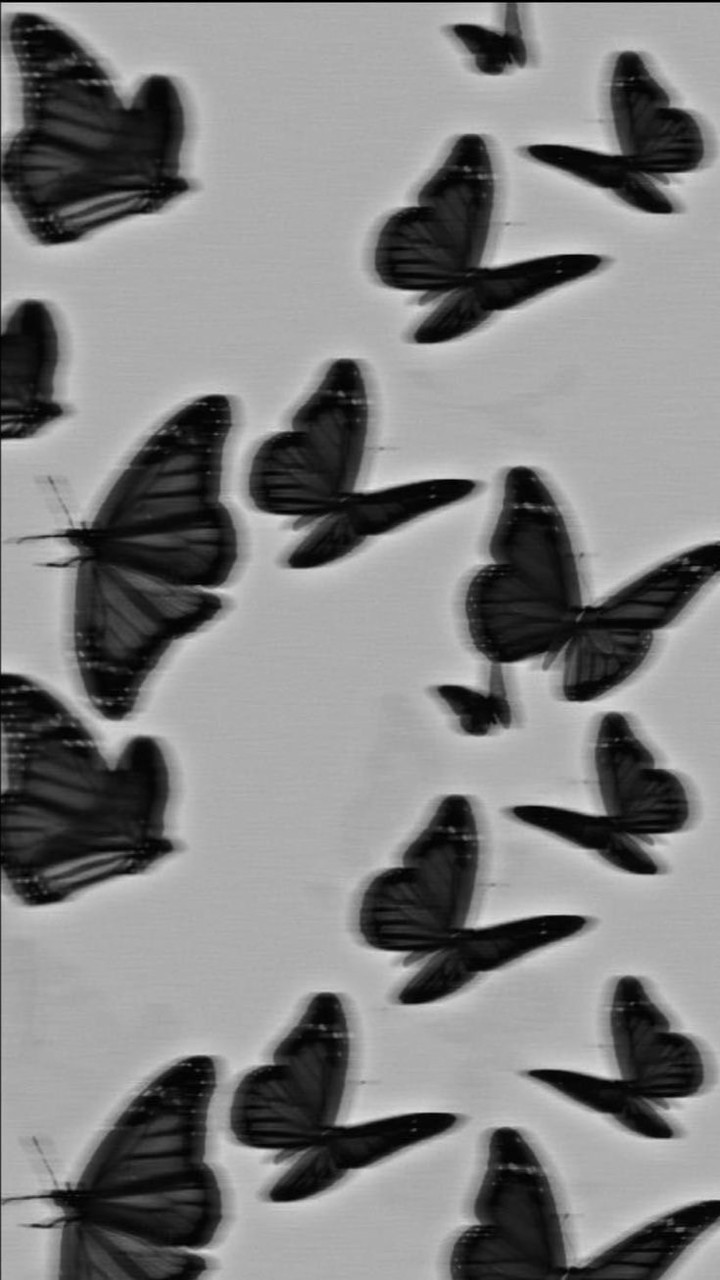 折恋 ⛓️‍💥◝❤︎