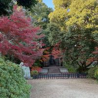 男生宿舍（新）