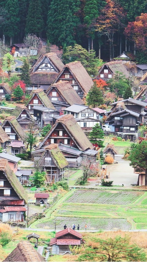 土象星座選手村⛺️