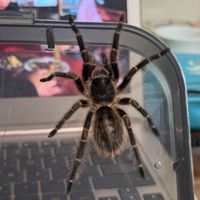 🦎爬🕷️蟲🦂分🐍享🐜社🐢