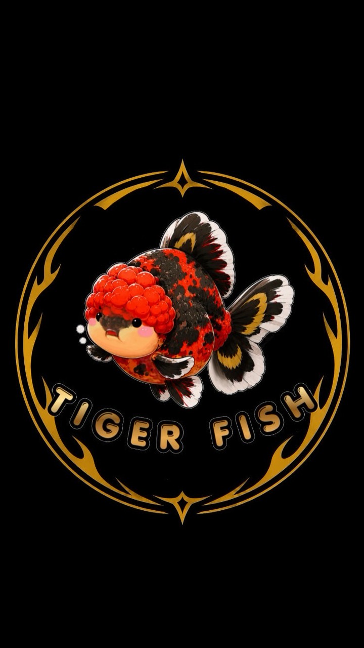 🐯虎嘯精品金魚坊