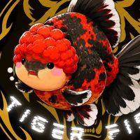 🐯虎嘯精品金魚坊