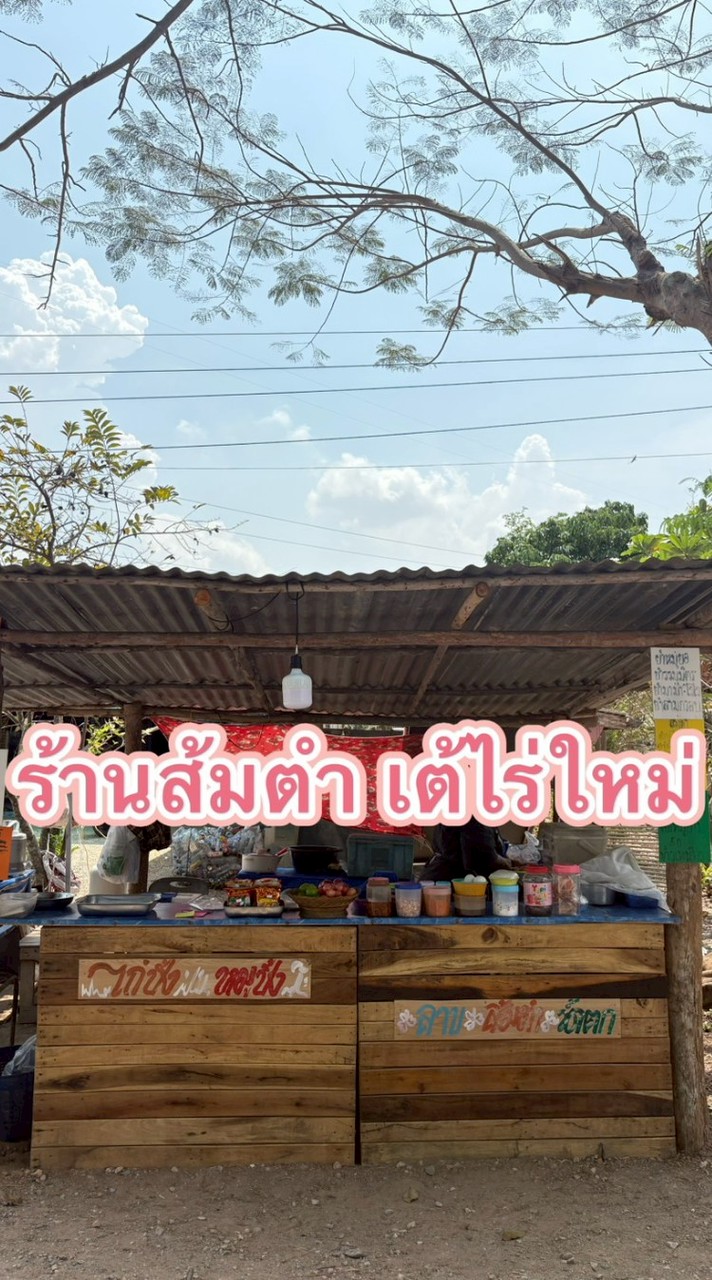 ร้านส้มตำ เต้ไร่ใหม่