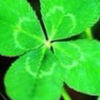 🍀悩み相談の部屋🍀カウンセリング🍀セラピー🍀癒し🍀