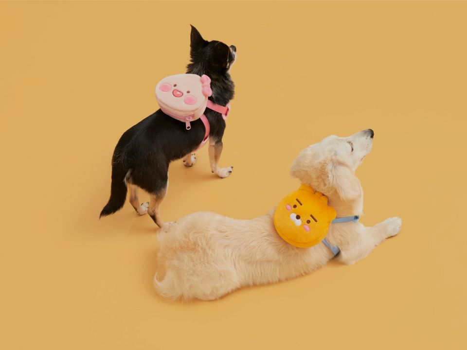 圖片來源：KAKAO FRIENDS.KR