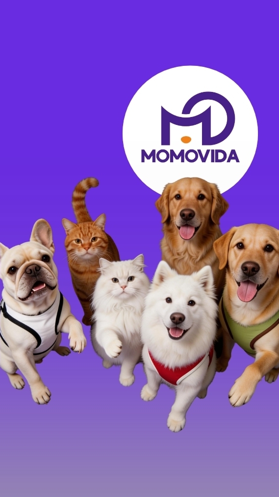 Momovida Affiliate