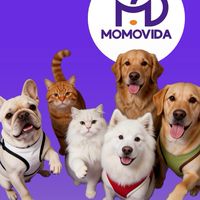 Momovida Affiliate