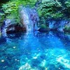 そこんとこどーなのトビオさん🐟