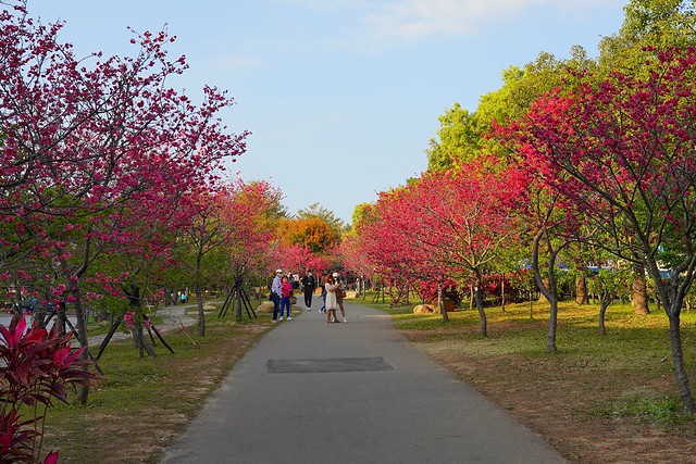崴立機電櫻花公園