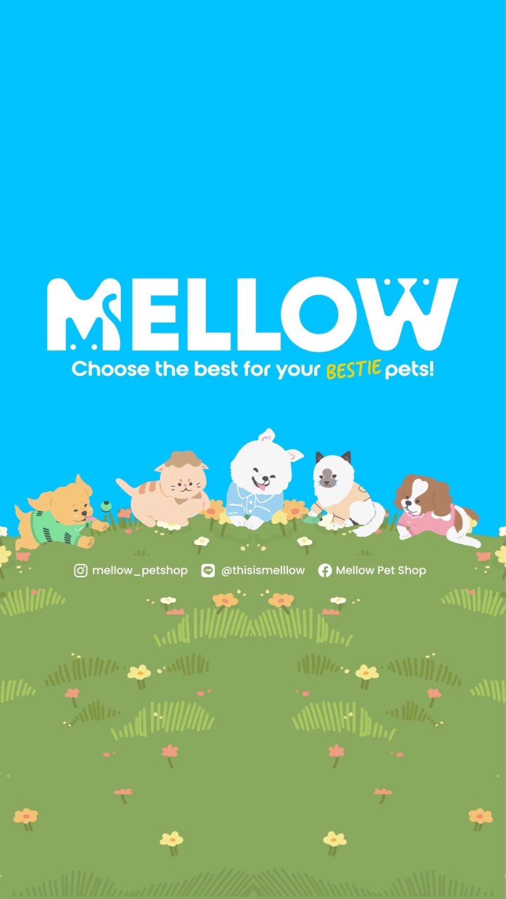 Team Mellow
