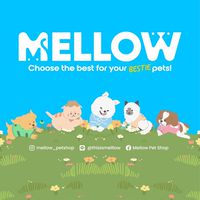 Team Mellow