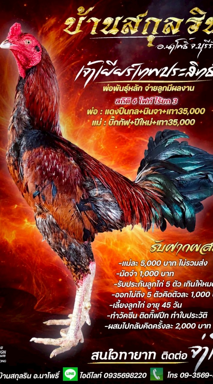 บ้านสกุลริน อ.นาโพธิ์ จ.บุรีรัมย์