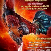 บ้านสกุลริน อ.นาโพธิ์ จ.บุรีรัมย์