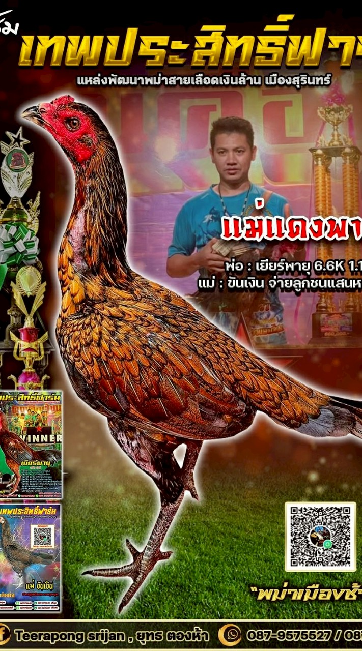 บ้านสกุลริน อ.นาโพธิ์ จ.บุรีรัมย์