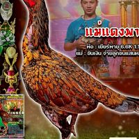 บ้านสกุลริน อ.นาโพธิ์ จ.บุรีรัมย์