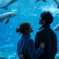 🕊即承認🕊大人の恋バナ雑談room🕊40代50代🕊新しい