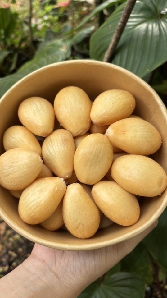 ขายทุกอย่าง🥹