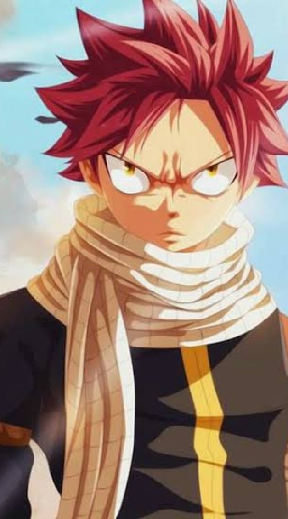 Fairy​ tail​ forces​ unite