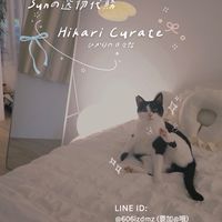 5/28-6/2京阪連線🇯🇵Hikari Curate | Sunの日韓選品✿𓂃𓂃