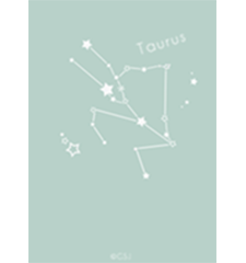 12constellations - taurus（金牛座）