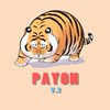 PAYON เบียร์วุ้น🍺