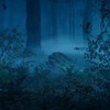 DBD 一緒に強楽しく行こ！