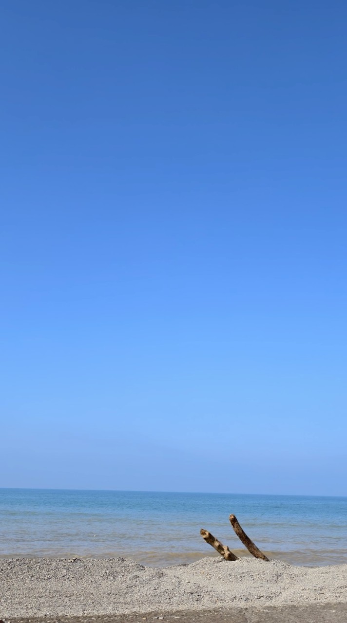 翁園情報公佈欄