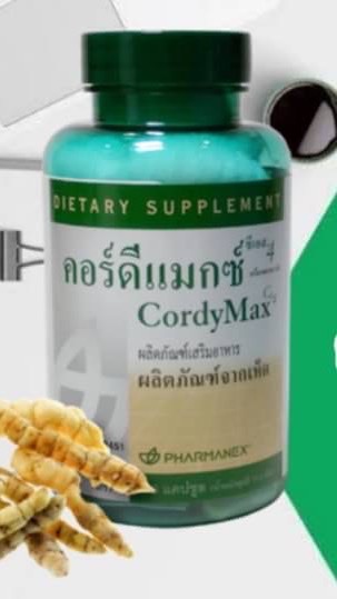 ULTIMATE 💡อัศวิน “ถั่งเช่าCS4”