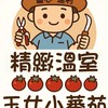 小方｜職人溫室栽培｜玉女小蕃茄