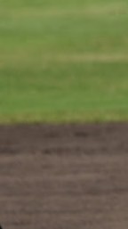 2031年に草野球チームを作る！