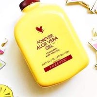 永久蘆薈 全球最大（不限區域）
