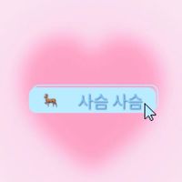 🦌사슴 사슴 LULU🦌17周邊代購/韓國代購🇰🇷