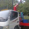 大台北3.49吊卡9.5吊卡出租（園藝樹木修剪）歡迎詢問私訊