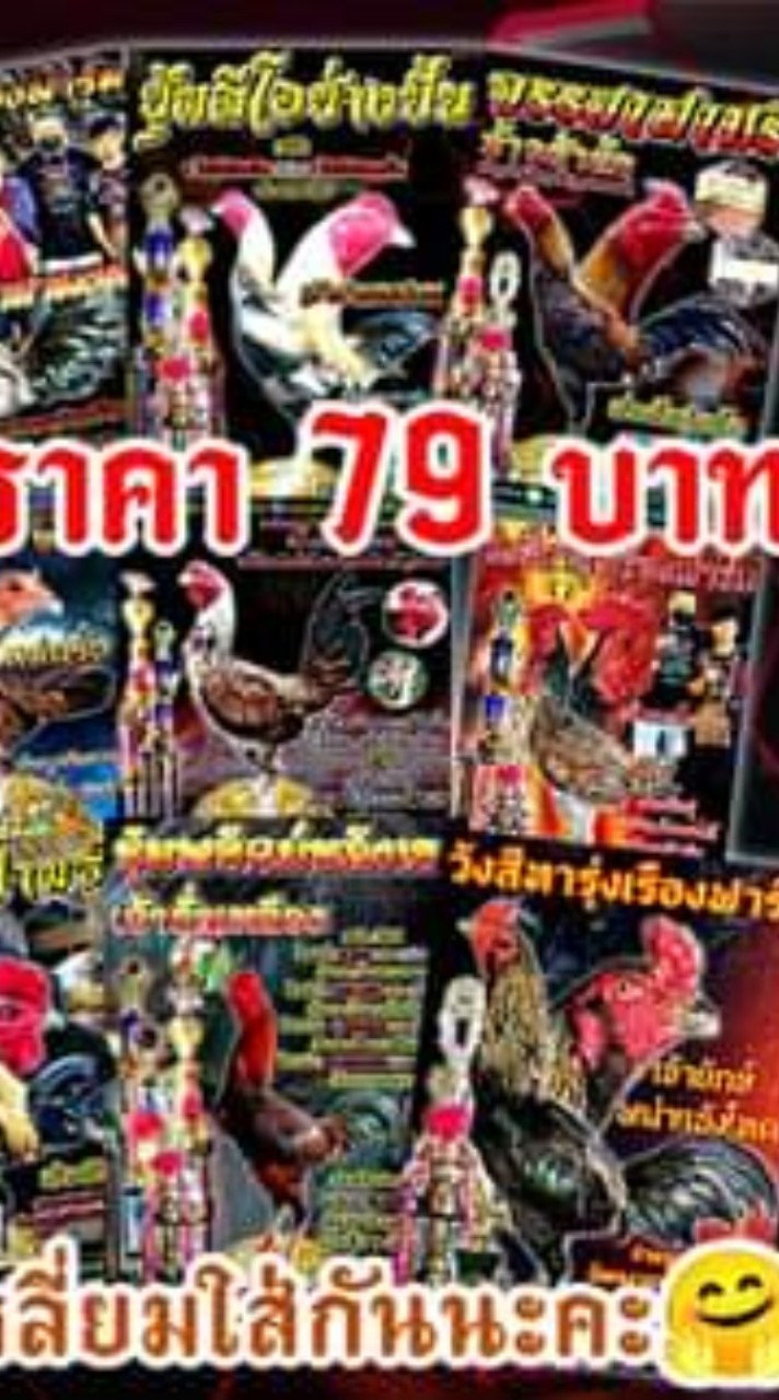 โปสเตอร์ไก่ชน By.นู๋เบ้น