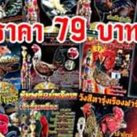 โปสเตอร์ไก่ชน By.นู๋เบ้น