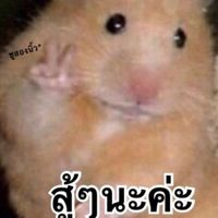 วาดรูปกันน🐣