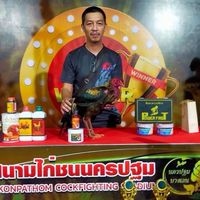 ซุ้ม.เพชรพลายงาม
