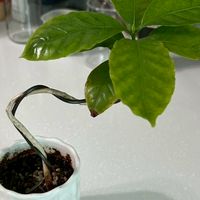 植光小室 Seed Studio