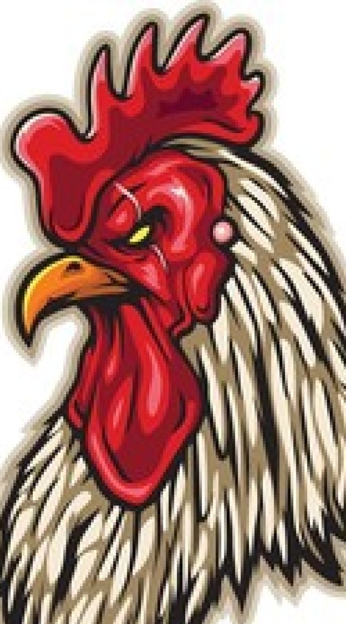 ตลาดไก่ชน ซื้อขายไก่เก่ง🐓🐓