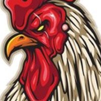 ตลาดไก่ชน ซื้อขายไก่เก่ง🐓🐓