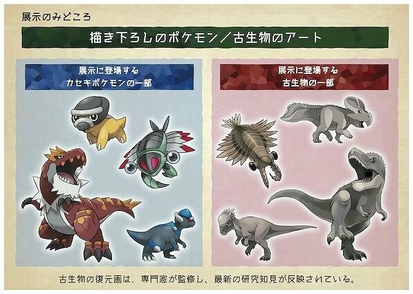 ポケモン化石博物館 全国開催 ポケモンと古生物が化石で共演 いこーよ