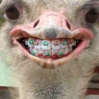คุยเล่นค่า