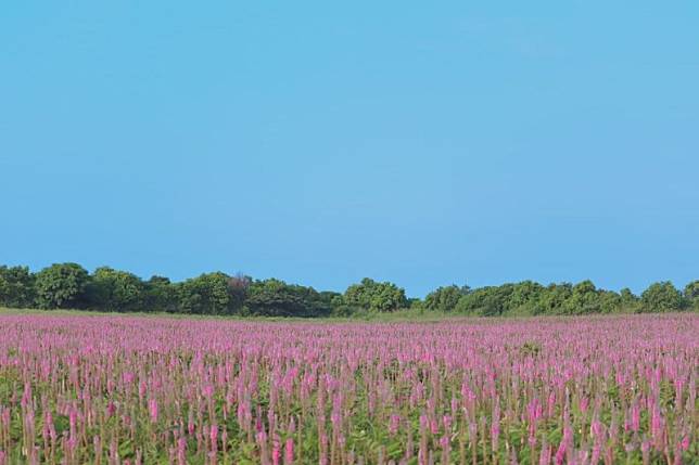 ▲圖片來源：IG@3more_hi4