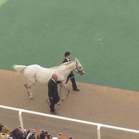 ワットのわいわい競馬部屋