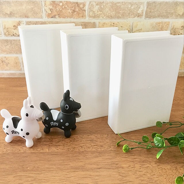 全部集めたくなる 100円ショップのブック型収納カタログ