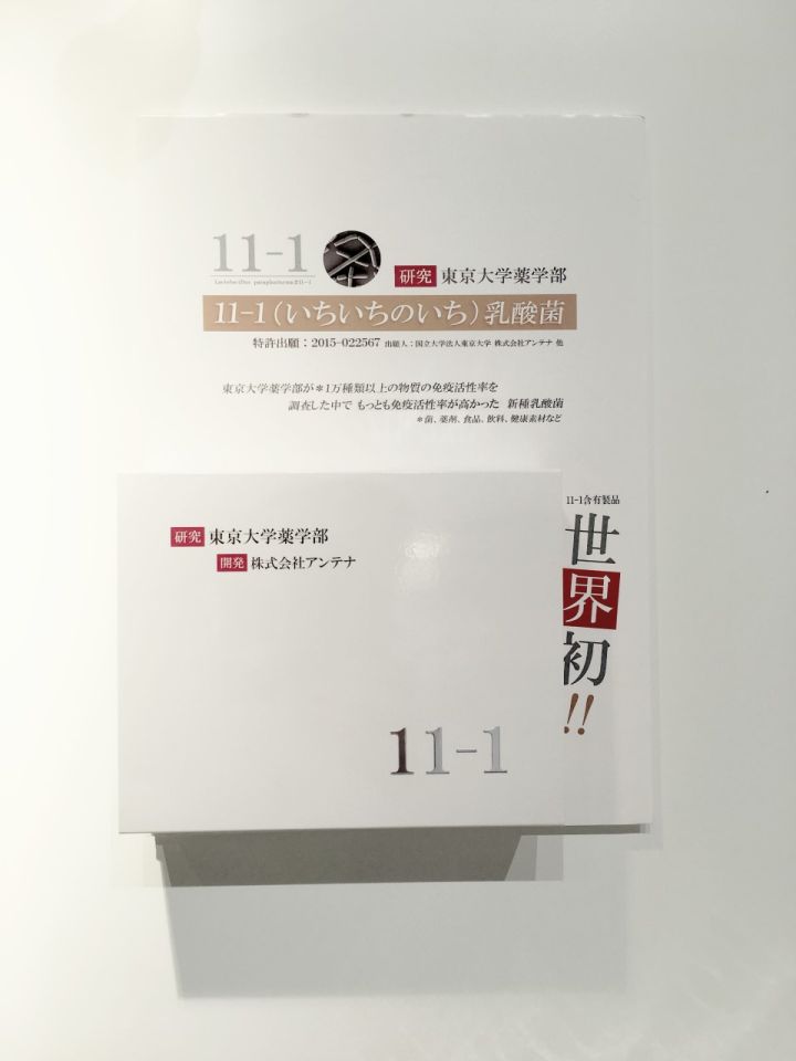 東京大学 研究 乳酸菌 11-1 30包入り 新品 未使用 腸活 免疫力