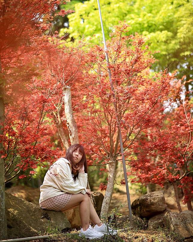  圖片來源：IG @lulu790419