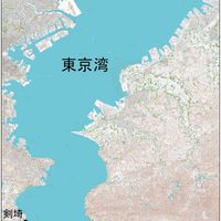 春から東京湾