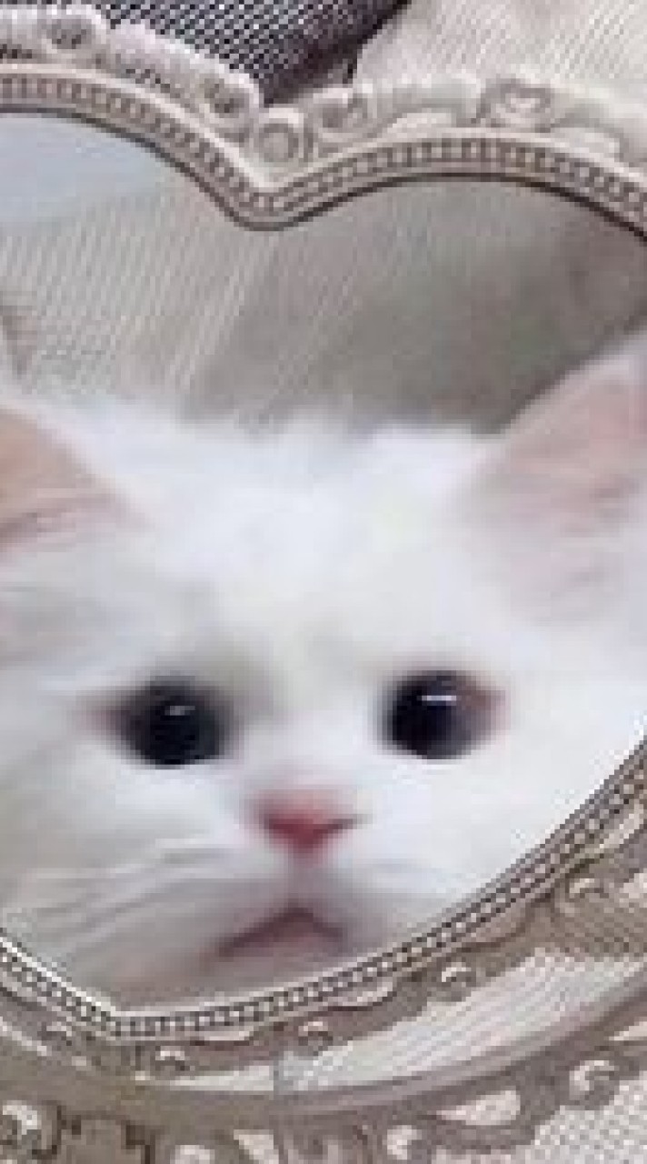 miniasia